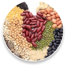 ProstaPure Phytosterols